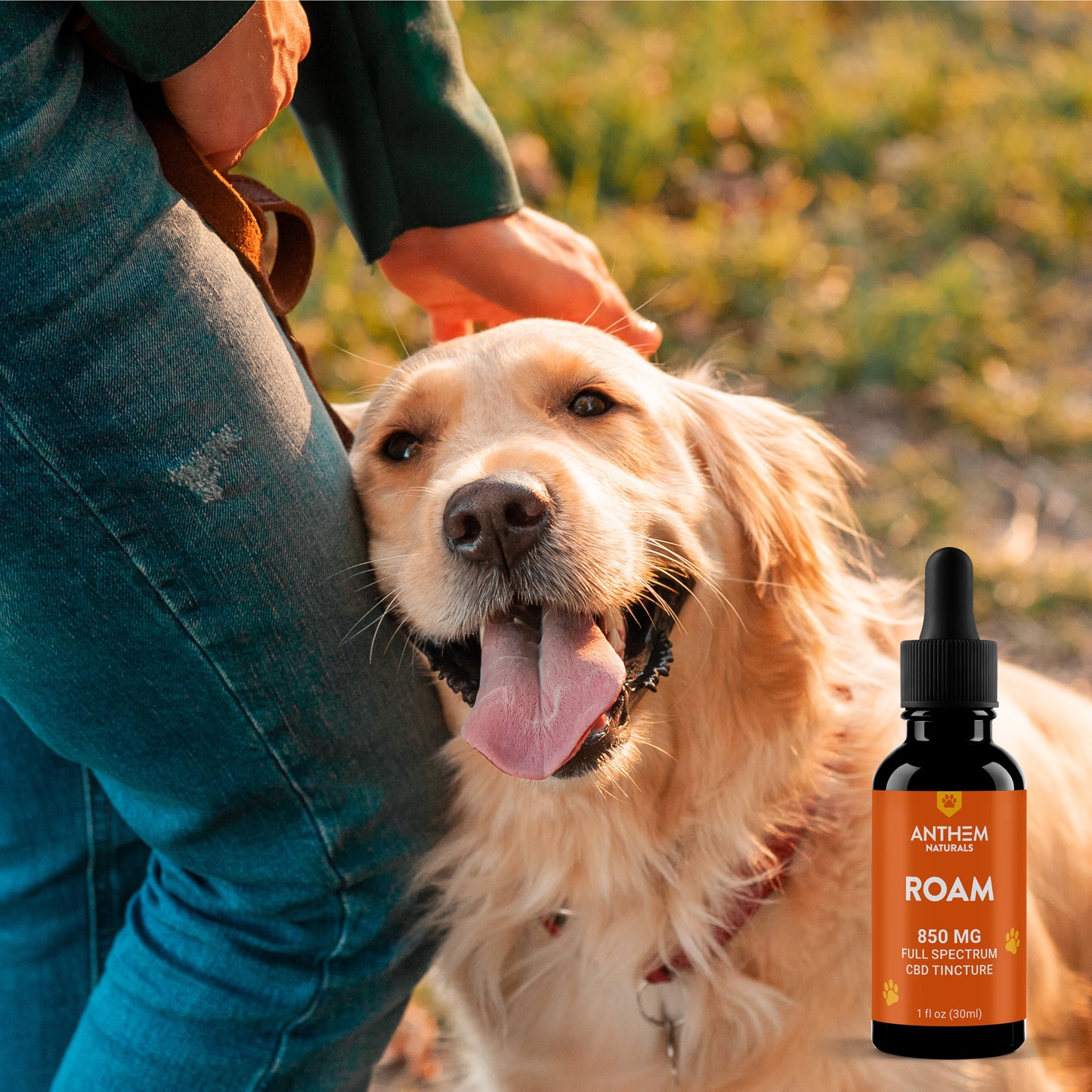 ROAM: 850mg Full Spectrum CBD Tincture
