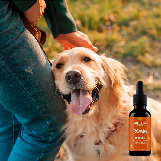 ROAM: 850mg Full Spectrum CBD Tincture